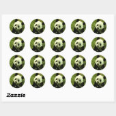 Sticker Rond Panda (Feuille)