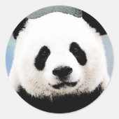 Sticker Rond Panda (Devant)