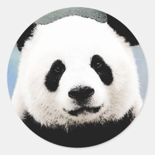 Sticker Rond Panda