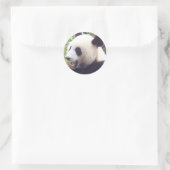 Sticker Rond Panda (Sac)
