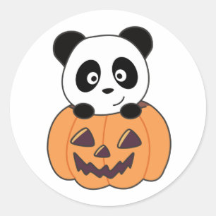 Sticker Rond Panda Dans Les Pandas Douces Citrouilles De Joyeux