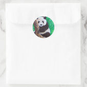 Sticker Rond Panda dans une peinture d'arbre (Sac)