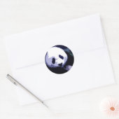 Sticker Rond Panda Face Pop Art (Enveloppe)
