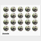 Sticker Rond Panda géant (Feuille)