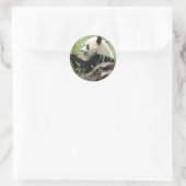 Sticker Rond Panda géant (Sac)