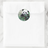 Sticker Rond Panda Manger Feuilles (Sac)