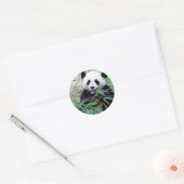 Sticker Rond Panda Manger Feuilles (Enveloppe)