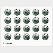 Sticker Rond Panda Manger Feuilles (Feuille)