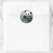 Sticker Rond Panda Manger Feuilles (Sac)