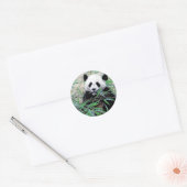 Sticker Rond Panda Manger Feuilles (Enveloppe)