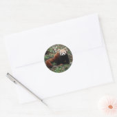 Sticker Rond Panda rouge (Enveloppe)