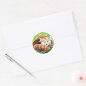 Sticker Rond Panda rouge (Enveloppe)