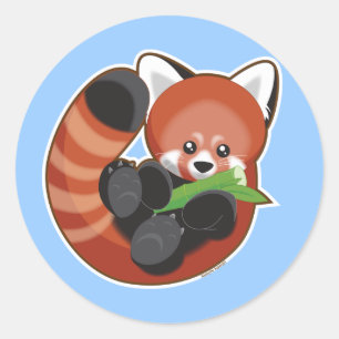 Sticker Rond Panda rouge
