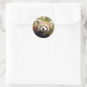 Sticker Rond panda-rouge-004 (Sac)