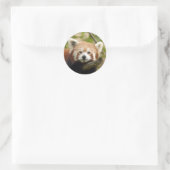 Sticker Rond panda-rouge-005 (Sac)