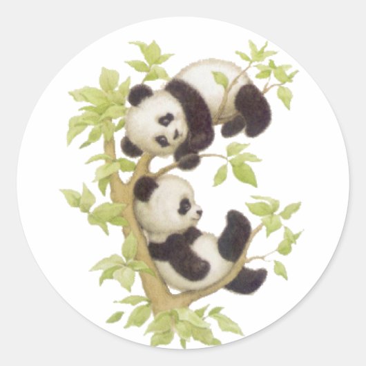 Sticker Rond Pandas jouant dans un arbre (Devant)