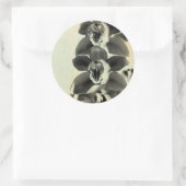 Sticker Rond Panneaux vierges IV (Sac)