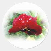 Sticker Rond Pansement rouge vif (Devant)