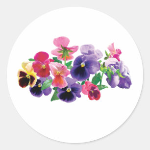 Sticker Rond Pansies de Pastel