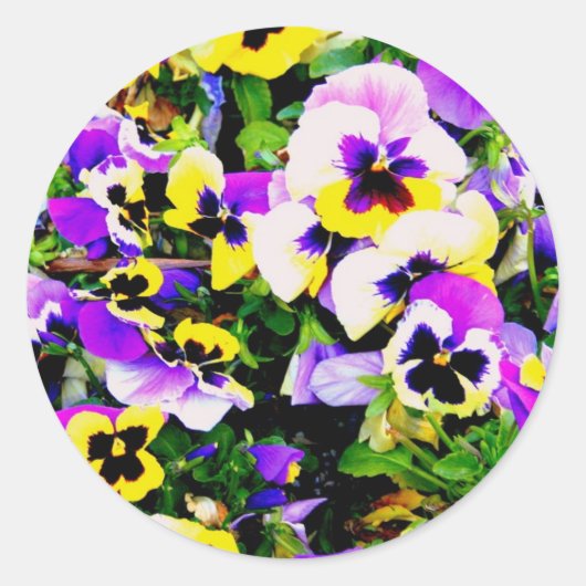 Sticker Rond pansy flowers (Devant)