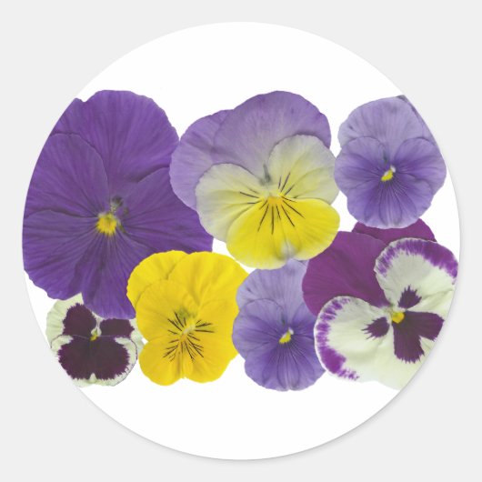 Sticker Rond pansy flowers (Devant)