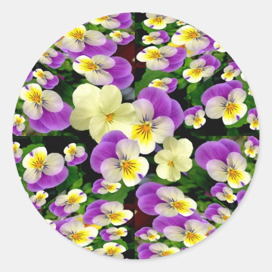 Sticker Rond Pansy Perfect ~ Enveloppe Sealers/Stickers (Devant)