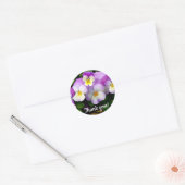 Sticker Rond Pansy Thé You (Enveloppe)