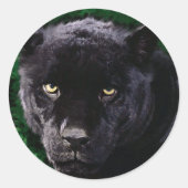 Sticker Rond Panthère noire (Devant)