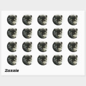 Sticker Rond Panthère noire Jaguar (Feuille)