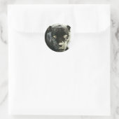 Sticker Rond Panthère noire Jaguar (Sac)