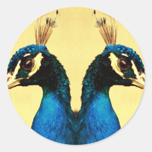 Sticker Rond Paon (Devant)