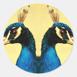 Sticker Rond Paon