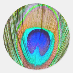 Sticker Rond Paon