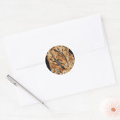 Sticker Rond Papier Goannas (Enveloppe)