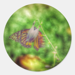Sticker Rond Papillon