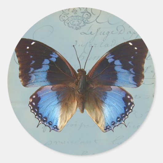 Sticker Rond Papillon bleu (Devant)