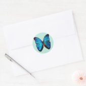 Sticker Rond Papillon bleu Morpho (Enveloppe)