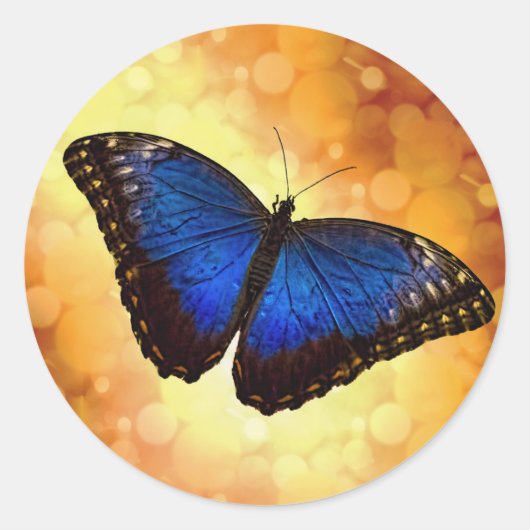 Sticker Rond Papillon bleu Morpho (Devant)