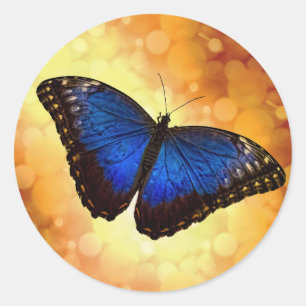 Sticker Rond Papillon bleu Morpho