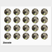 Sticker Rond Papillon Brown (Feuille)