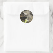 Sticker Rond Papillon Brown (Sac)