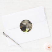 Sticker Rond Papillon Brown (Enveloppe)