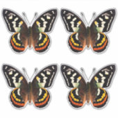 Sticker rond papillon classique (Devant)