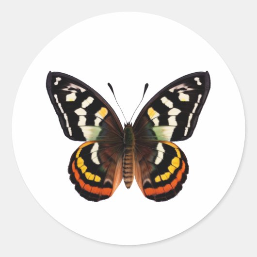 Sticker rond papillon classique (Devant)