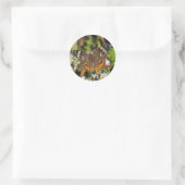 Sticker rond papillon commun (Sac)