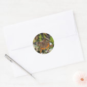 Sticker rond papillon commun (Enveloppe)