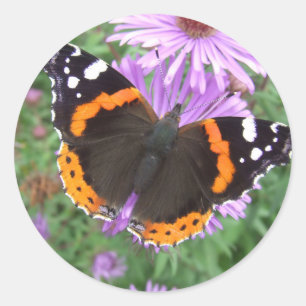 Sticker Rond Papillon d'amiral rouge