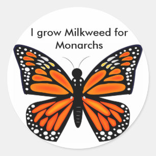 Sticker Rond Papillon de monarque