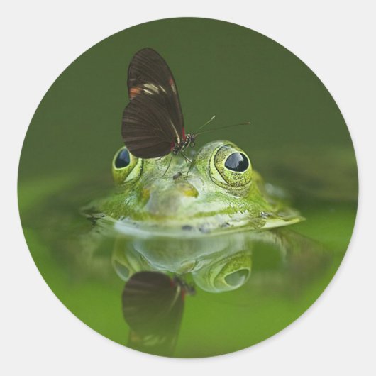 Sticker Rond Papillon et grenouille (Devant)