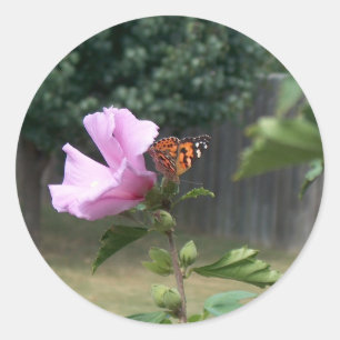 Sticker Rond Papillon et Rose de Sharon